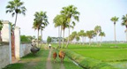 Nhạc Không Lời quê hương - (Hòa tấu Bầu - Tranh -

Sáo)