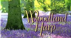 Woodland Harp - Dan Gibson\'s Solitudes