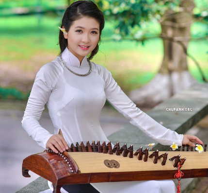 Đàn Guzheng
