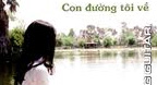 Con Đường Tôi Về - Vô Thường