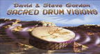 Sacred Drum Visions (20th Anniversary Collection) - David &amp; Steve Gordon