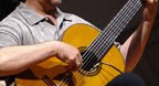 Bay Đi Cánh Chim Biển (Độc Tấu Guitar)