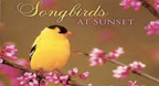Songbirds At Sunset - Dan Gibson\'s Solitudes