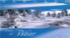 Snow In Winter