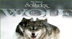 Legend Of The Wolf - Dan Gibson\'s Solitudes
