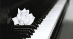 Nhạc Hòa Tấu - Piano Duy Cường